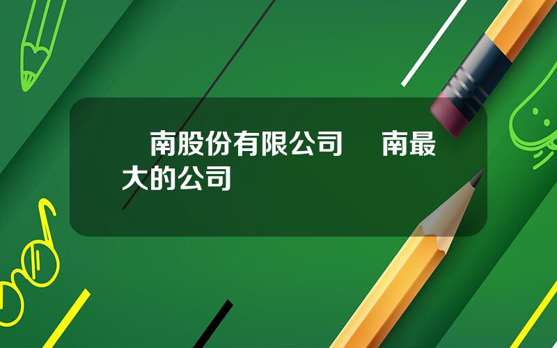 雲南股份有限公司 雲南最大的公司